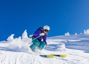 雄鹿不断突破！蒂姆连续二十场比赛得分，最后时刻胜出再创辉煌时刻